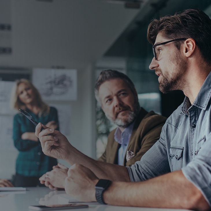 Enterprise software and integration