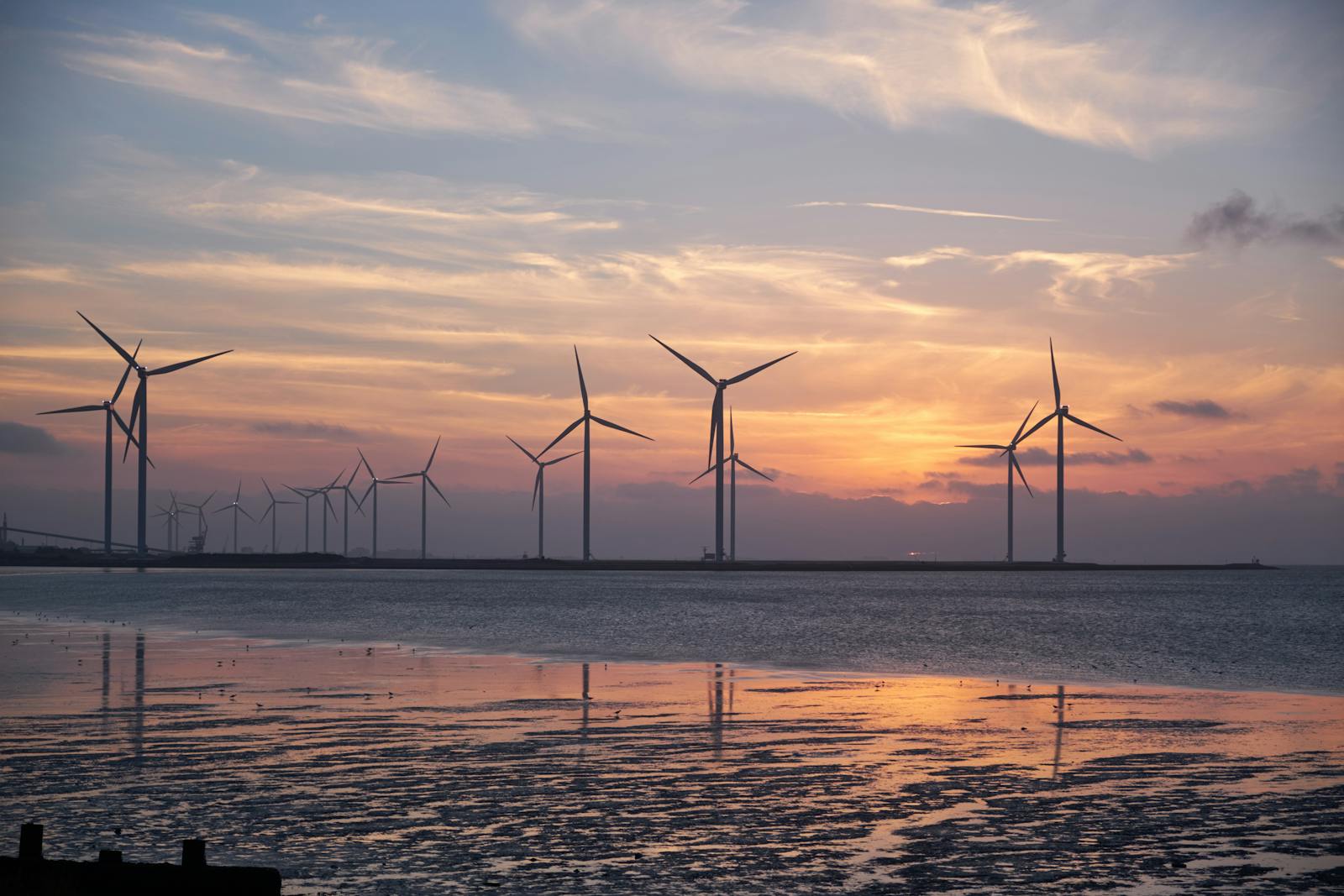 Energy sector software